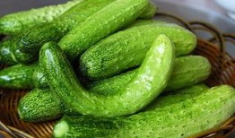 金秋天吃瓜,一场味蕾的盛宴