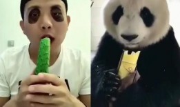 吃瓜直播竹子,竹子带你领略直播新风尚