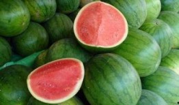 西瓜从小瓜到大瓜多久可以吃,从幼瓜到成熟，品尝最佳时机揭秘