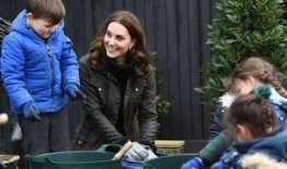 吃瓜群众Emily,揭秘娱乐圈幕后故事