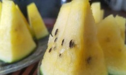 吃瓜网站推荐上海,跟随吃瓜网站解锁沪上特色美食之旅