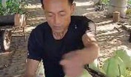 良哥吃瓜,揭秘娱乐圈那些不为人知的幕后故事