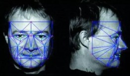 阿尼亚吃瓜脸,揭秘二次元萌妹的可爱瞬间