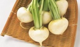 吃瓜篓,夏日消暑新宠的趣味与魅力