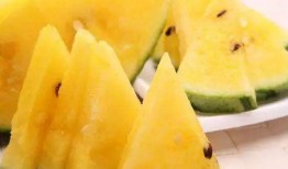 最恶心的吃瓜图