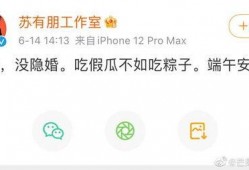 吃假瓜不如吃粽子