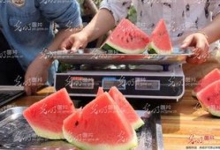 聊城吃瓜青蛙,揭秘当地美食文化新宠