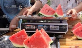 聊城吃瓜青蛙,揭秘当地美食文化新宠