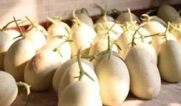 安心吃瓜01,揭秘娱乐圈幕后真相，带你走进明星生活