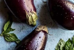 误吃生茄瓜,意外体验引发的食品安全思考