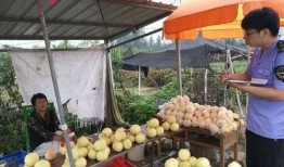 桃厂吃瓜驿站,揭秘娱乐圈幕后故事