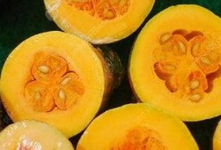 感冒了吃兰瓜,轻松应对感冒困扰