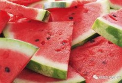 潍坊吃瓜热点